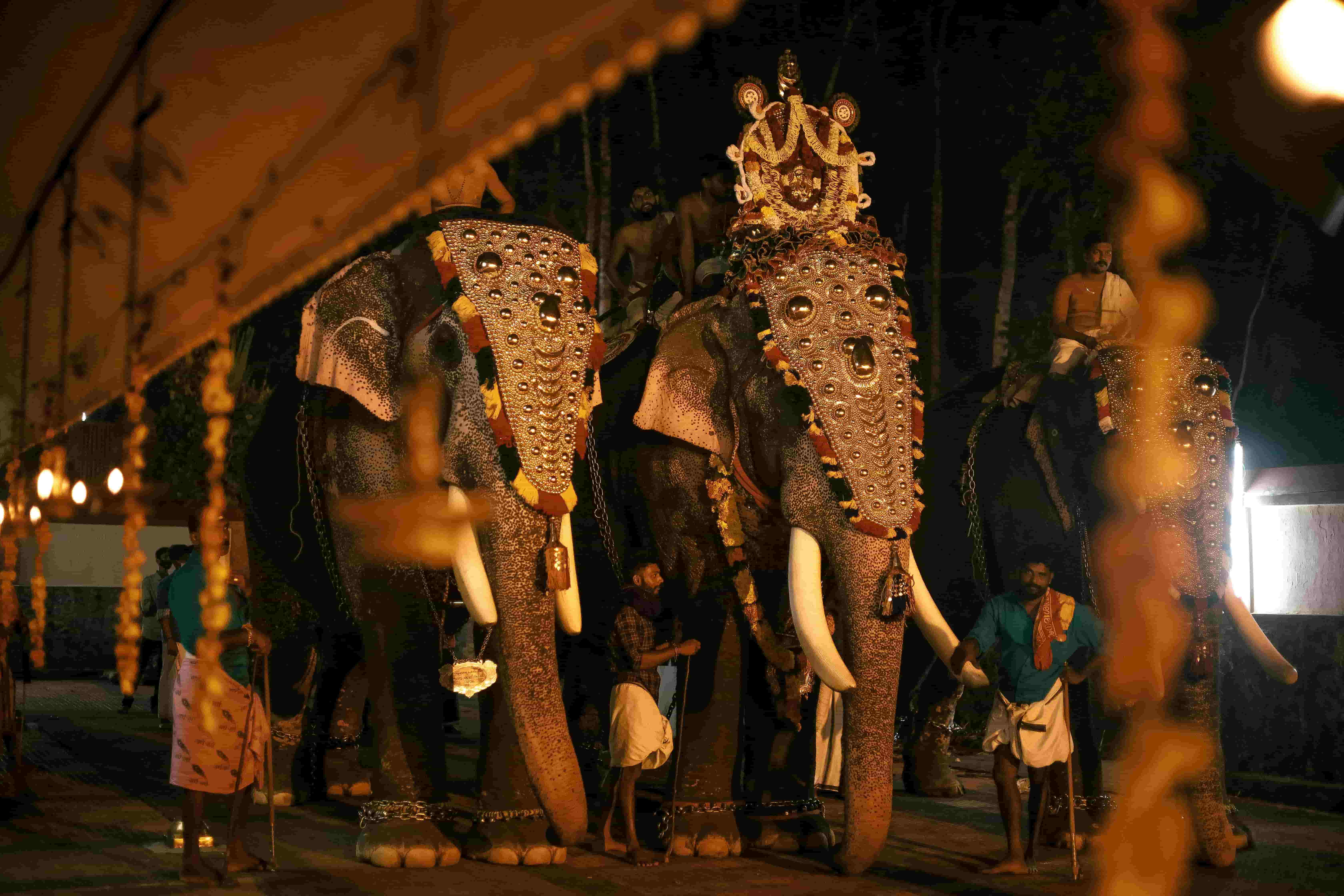 Kerala gallery image 1