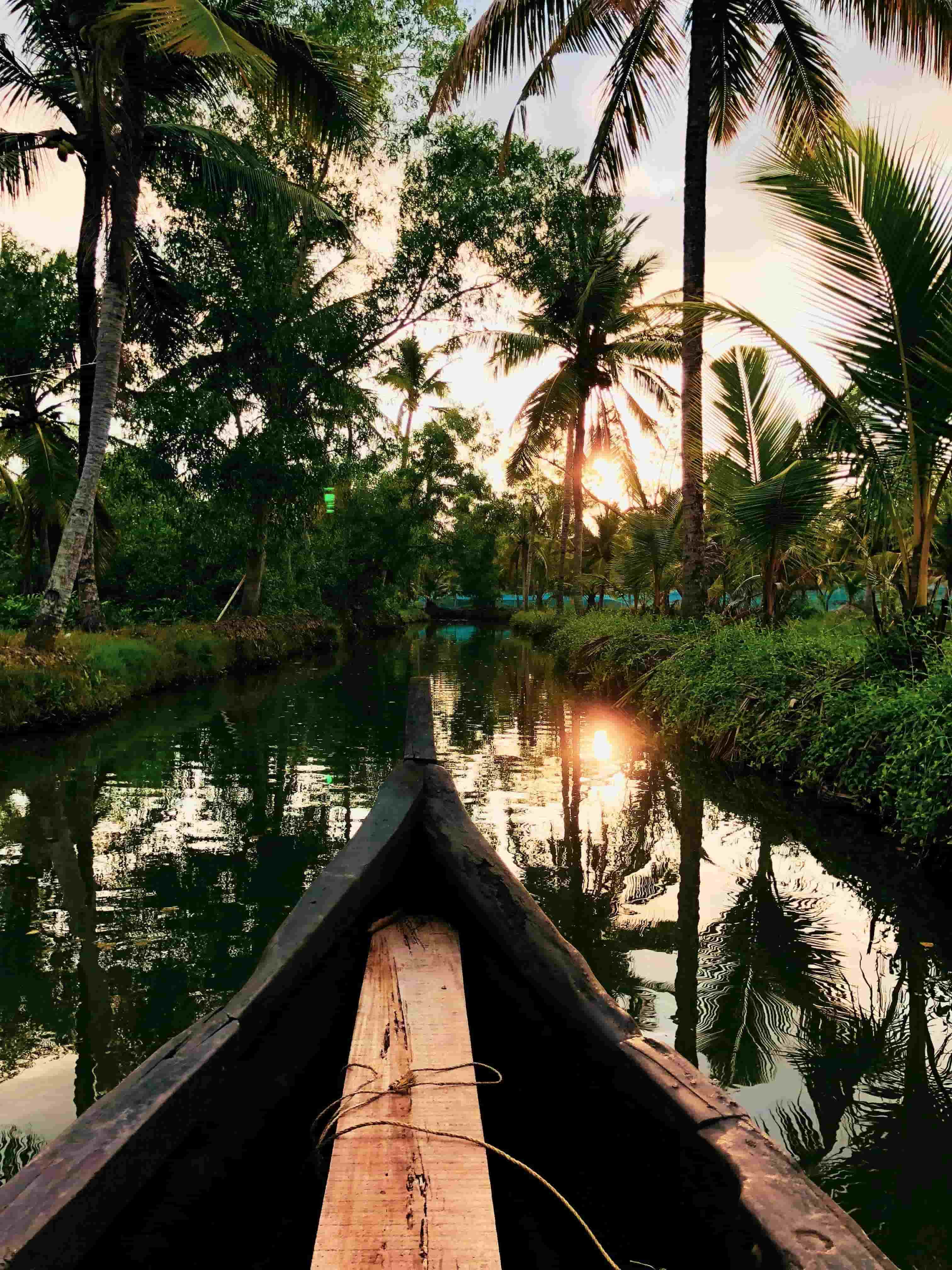 Kerala gallery image 10