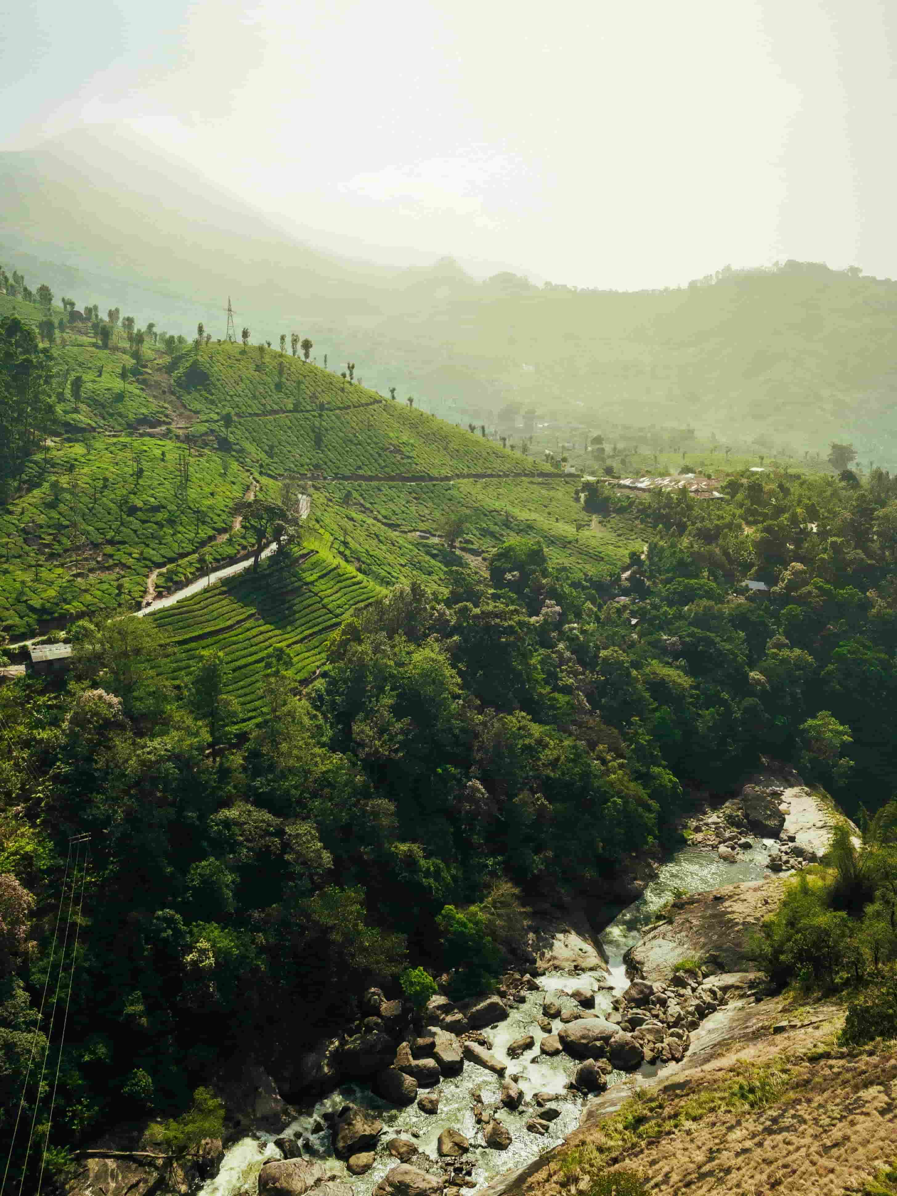 Kerala gallery image 11