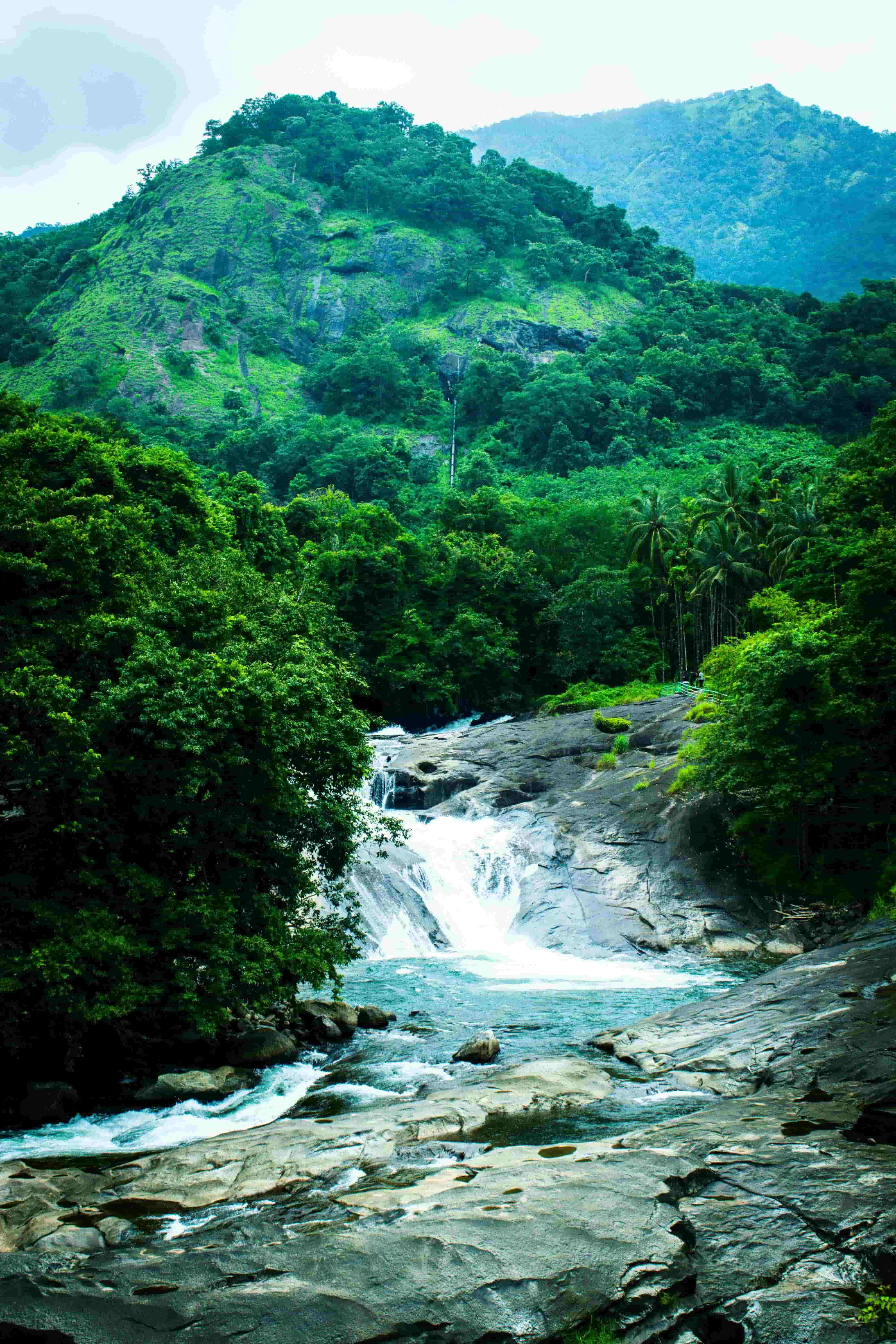 Kerala gallery image 7